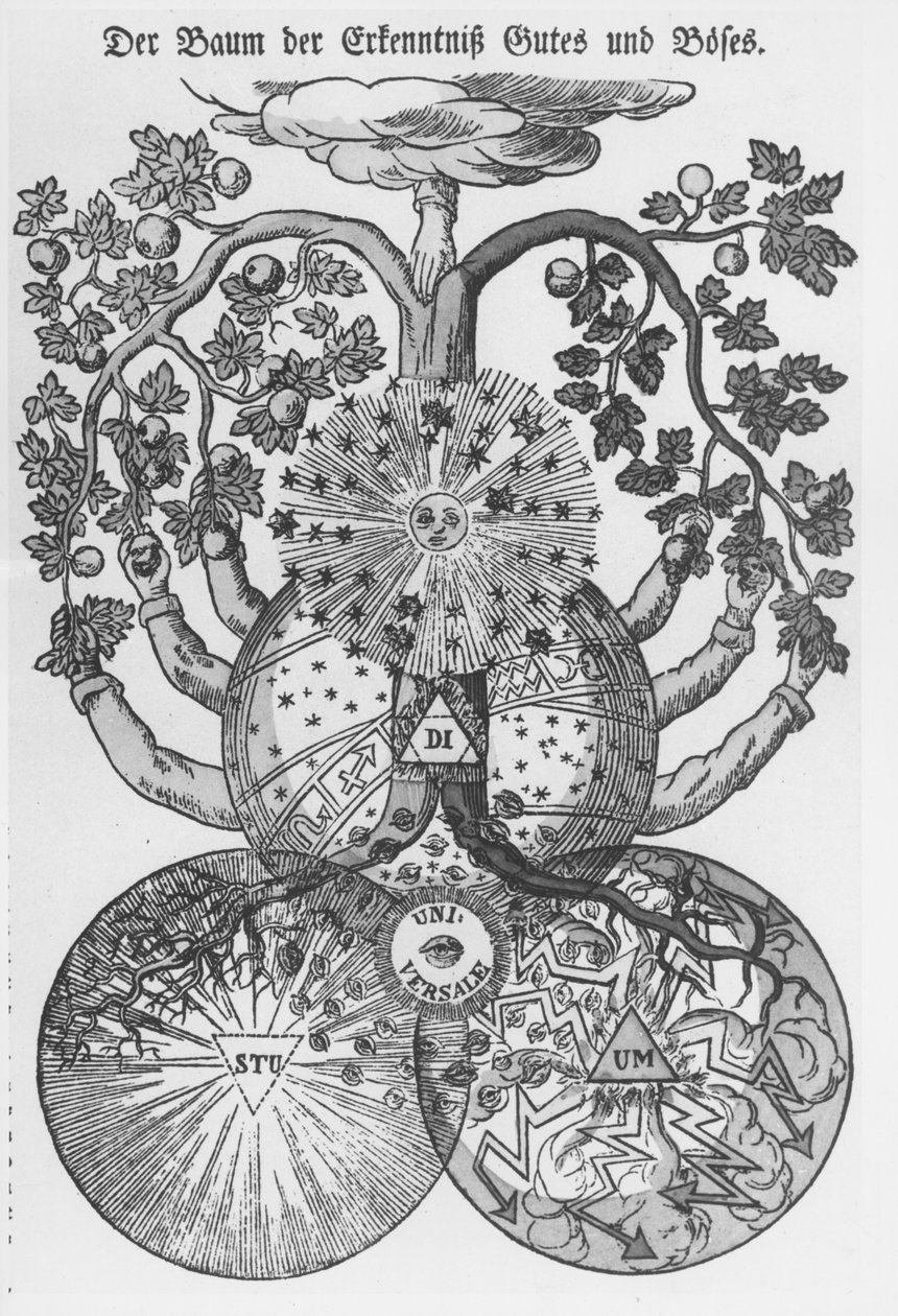 Oude gravure van een symbolische boom met hemellichamen, vruchten en vormen van de wereld